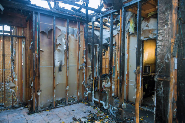 Professional Fire Damage Cleanup technician working in Tampa, FL