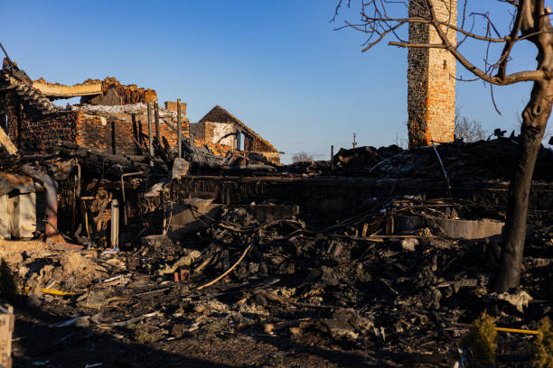 Reliable Fire Damage Cleanup contractor in Tampa, FL by Fire Damage Flint