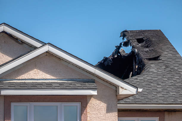 Top rated local Fire Damage Cleanup specialists in Tampa, FL